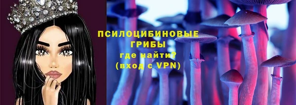 дживик Белоозёрский