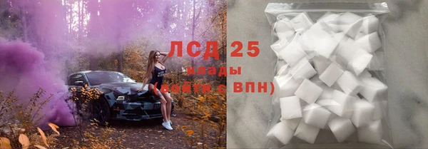 spice Беломорск