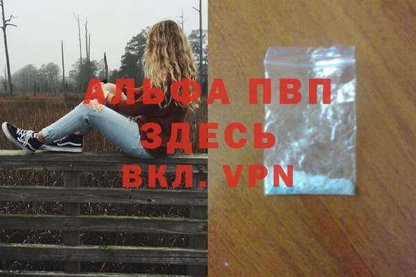 spice Беломорск