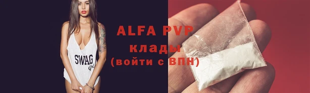 spice Беломорск