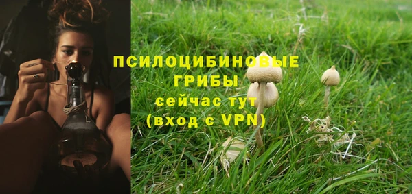 spice Беломорск