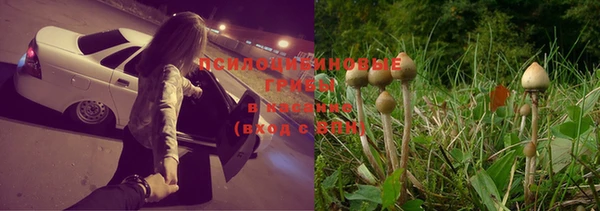 дживик Белоозёрский