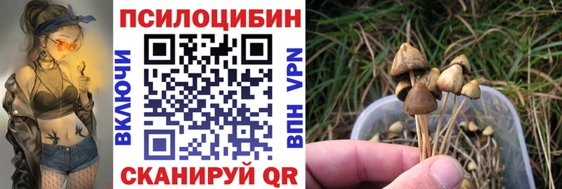 Галлюциногенные грибы мицелий  Верещагино 